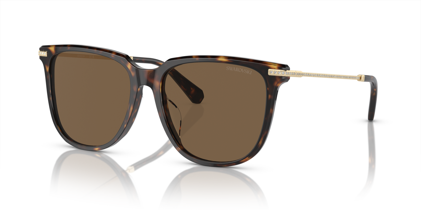 Gafas de Sol Swarovski SK6015D 100273 55 16