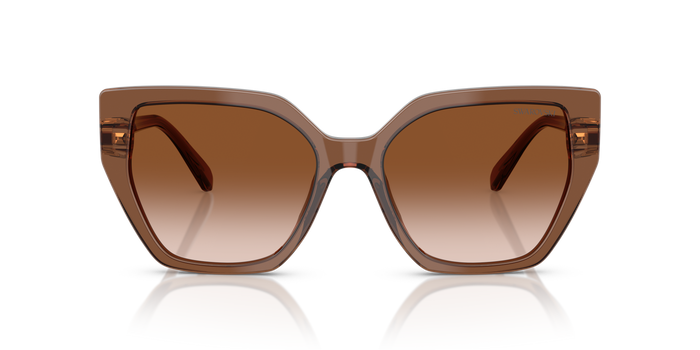 Lunettes de Soleil Swarovski SK6016 106713 56 18 — vista 2