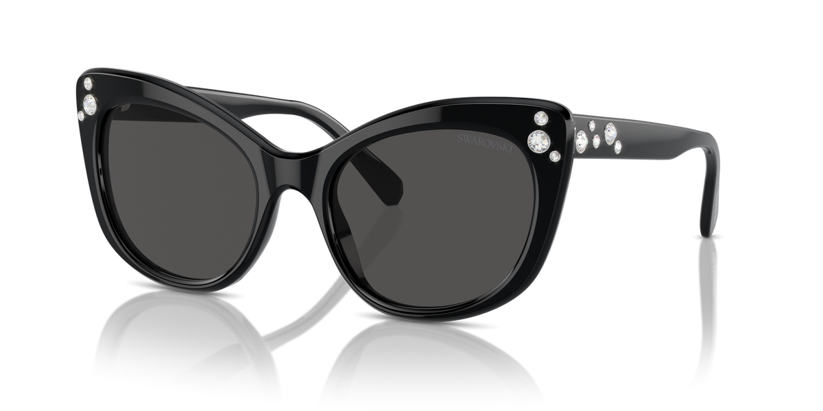 Sunglasses Swarovski SK6020 100187 55 20