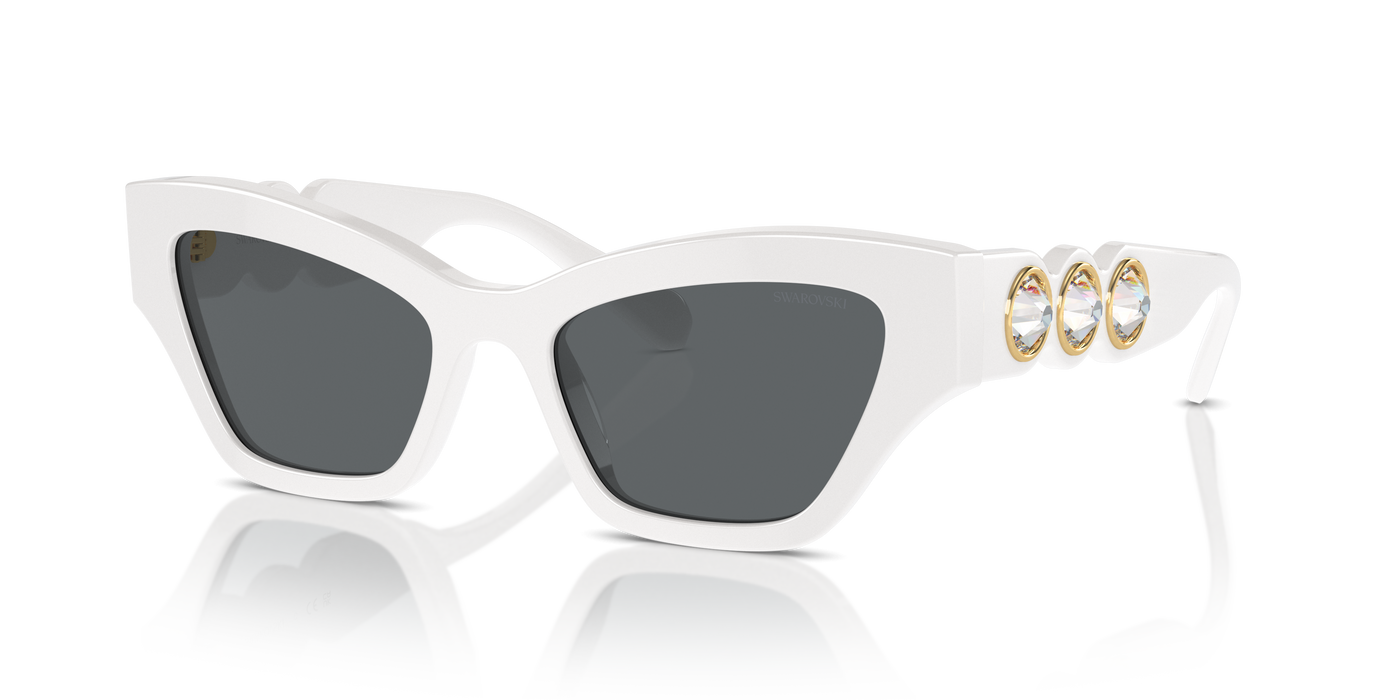 Солнцезащитные очки Swarovski SK6021 105087 53 19