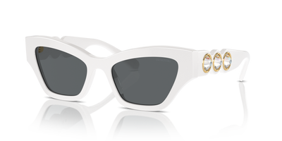 Sonnenbrille Swarovski SK6021 105087 53 19