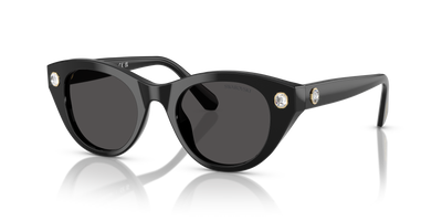 Солнцезащитные очки Swarovski SK6025 100187 47 20