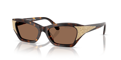 Sunglasses Swarovski SK6029 100273 50 18