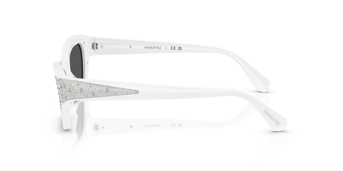 Sonnenbrille Swarovski SK6029 10506G 53 18 — vista 3