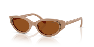 Sonnenbrille Swarovski SK6030 106173 52 19