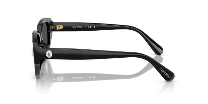 Gafas de Sol Swarovski SK6035D 100187 54 18 — vista 3