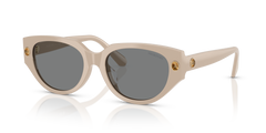 Sunglasses Swarovski SK6035D 106887 54 18