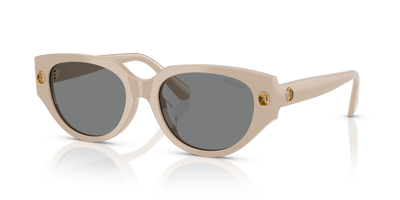 Sunglasses Swarovski SK6035D 106887 54 18