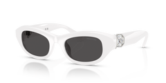 Swarovski SK6036U 105087 50 20 太阳镜