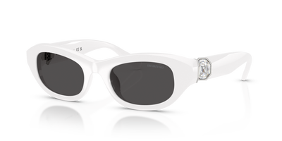 Swarovski SK6036U 105087 50 20 太阳镜