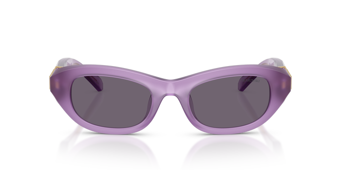 Gafas de Sol Swarovski SK6036U 10751A 50 20 — vista 2