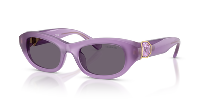 Swarovski SK6036U 10751A 50 20 太阳镜