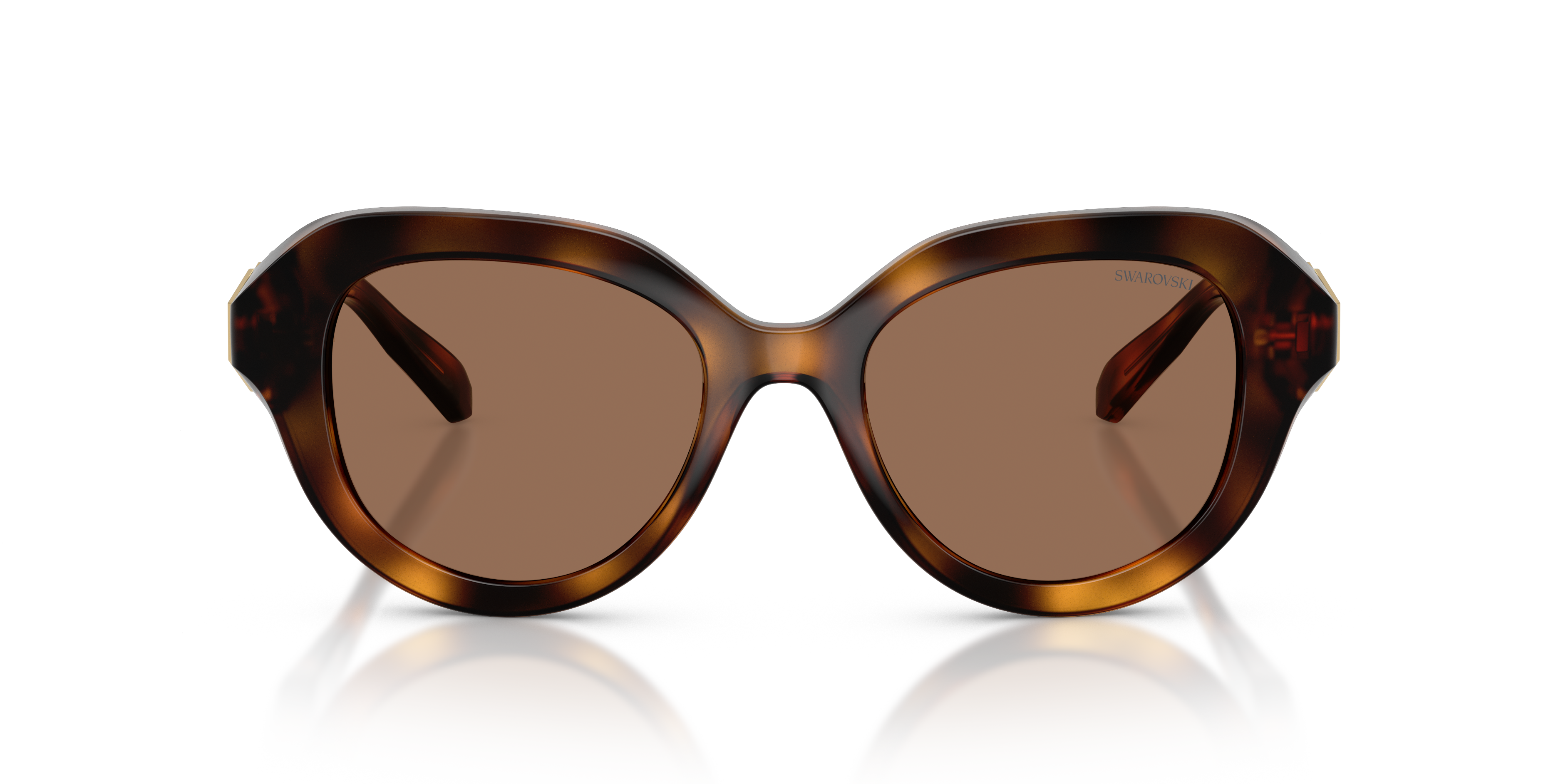Gafas de Sol Swarovski SK6037 100273 50 19