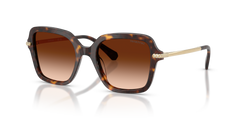 Swarovski SK6040 100274 50 20 太阳镜