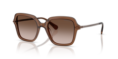 Swarovski SK6040 106713 50 20 太阳镜