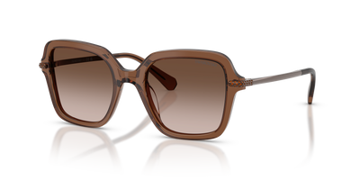 Sonnenbrille Swarovski SK6040 106713 50 20