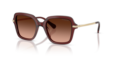 Sonnenbrille Swarovski SK6040 10735M 50 20