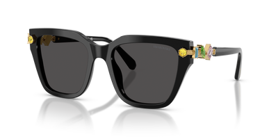 Swarovski SK6041 100187 53 19 太阳镜