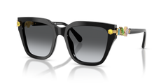 Swarovski SK6041 1001T3 53 19 太阳镜 偏光