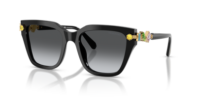 Swarovski SK6041 1001T3 53 19 太阳镜 偏光