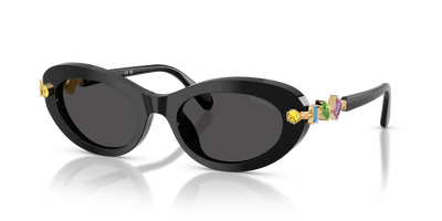 Sunglasses Swarovski SK6042 100187 53 20