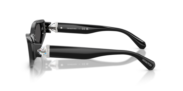 Gafas de Sol Swarovski SK6045U 100187 55 17 — vista 3