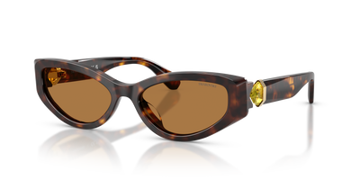 Gafas de Sol Swarovski SK6045U 100273 55 17