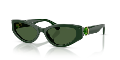 Gafas de Sol Swarovski SK6045U 102671 55 17
