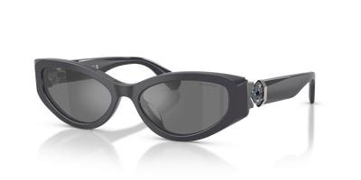 Gafas de Sol Swarovski SK6045U 10836G 55 17