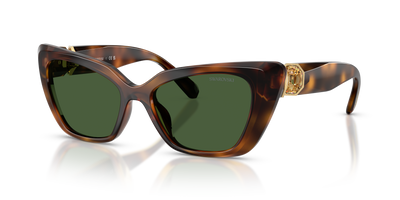 Sunglasses Swarovski SK6047 100271 54 17
