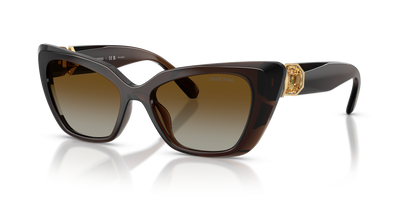 Sunglasses Swarovski SK6047 1084T5 54 17