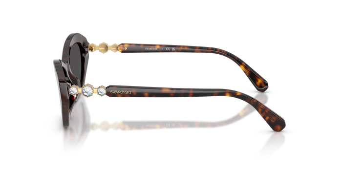 Gafas de Sol Swarovski SK6048 100287 54 18 — vista 3