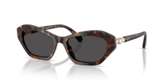 Sunglasses Swarovski SK6048 100287 54 18