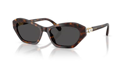 Swarovski SK6048 100287 54 18 太阳镜