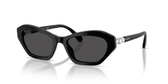 Swarovski SK6048 103887 54 18 太阳镜