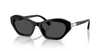 Swarovski SK6048 103887 54 18 太阳镜