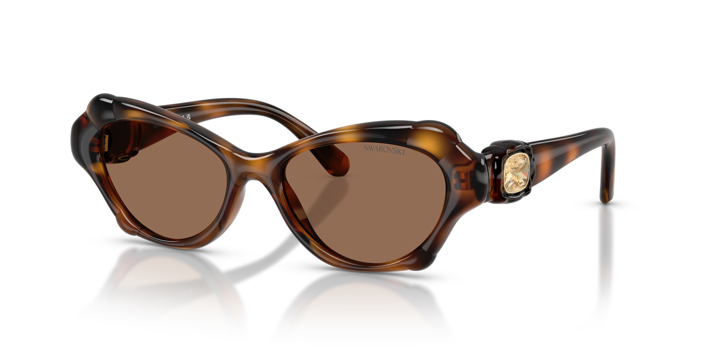 Gafas de Sol Swarovski SK6050 100273 52 17