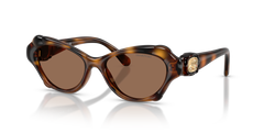 Gafas de Sol Swarovski SK6050 100273 52 17