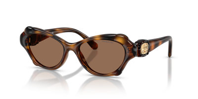 Солнцезащитные очки Swarovski SK6050 100273 52 17