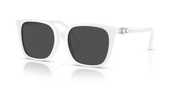 Sunglasses Swarovski SK6053D 105087 55 17