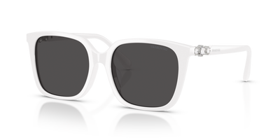 Солнцезащитные очки Swarovski SK6053D 105087 55 17