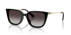 Swarovski SK6054D 10018G 63 15 太阳镜 渐变镜片