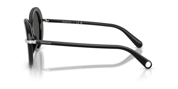 Солнцезащитные очки Swarovski SK6059 103887 55 16 — vista 2