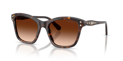 Gafas de Sol Swarovski SK6063 100274 54 19
