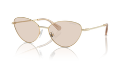 Sunglasses Swarovski SK7014 4013M4 58 18
