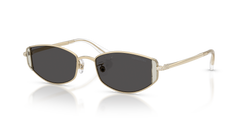 Swarovski SK7035D 401387 53 18 太阳镜