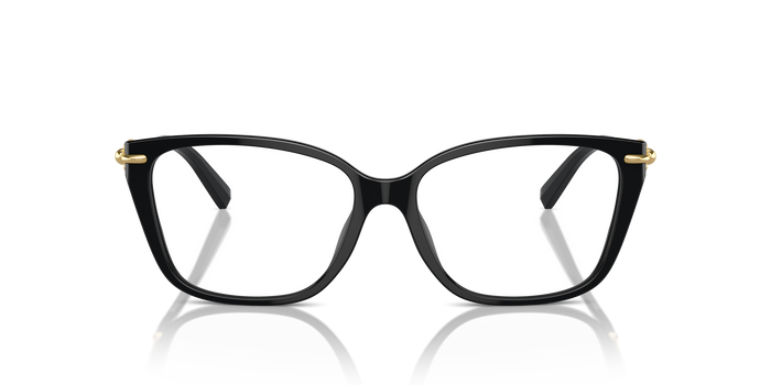 Gafas Graduadas Tiffany & Co. TF2248K 8402 53 15 — vista 2