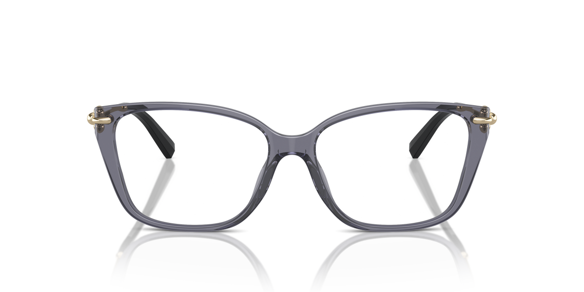 Оправа для очков Tiffany & Co. TF2248K 8405 55 15
