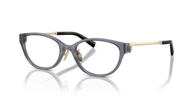 Очки для зрения Tiffany TF2252D 8405 51 18