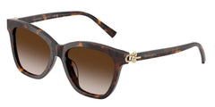 Gafas Graduadas Tiffany TF4241D 80153B 54 17